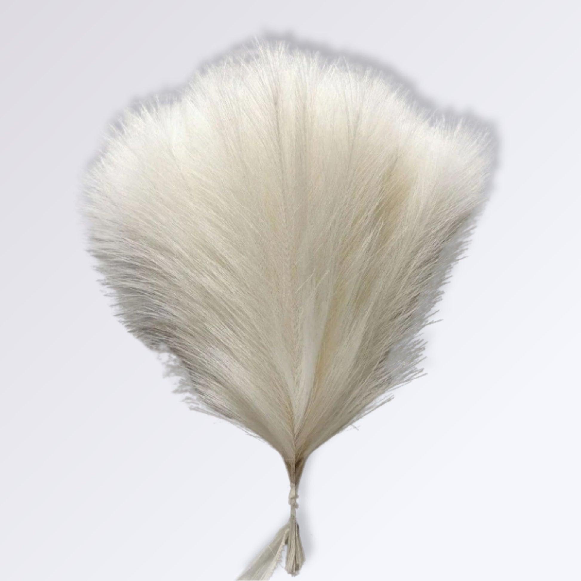 Herbe de la Pampa Artificielle Couleur Blanc pur / 10 branches