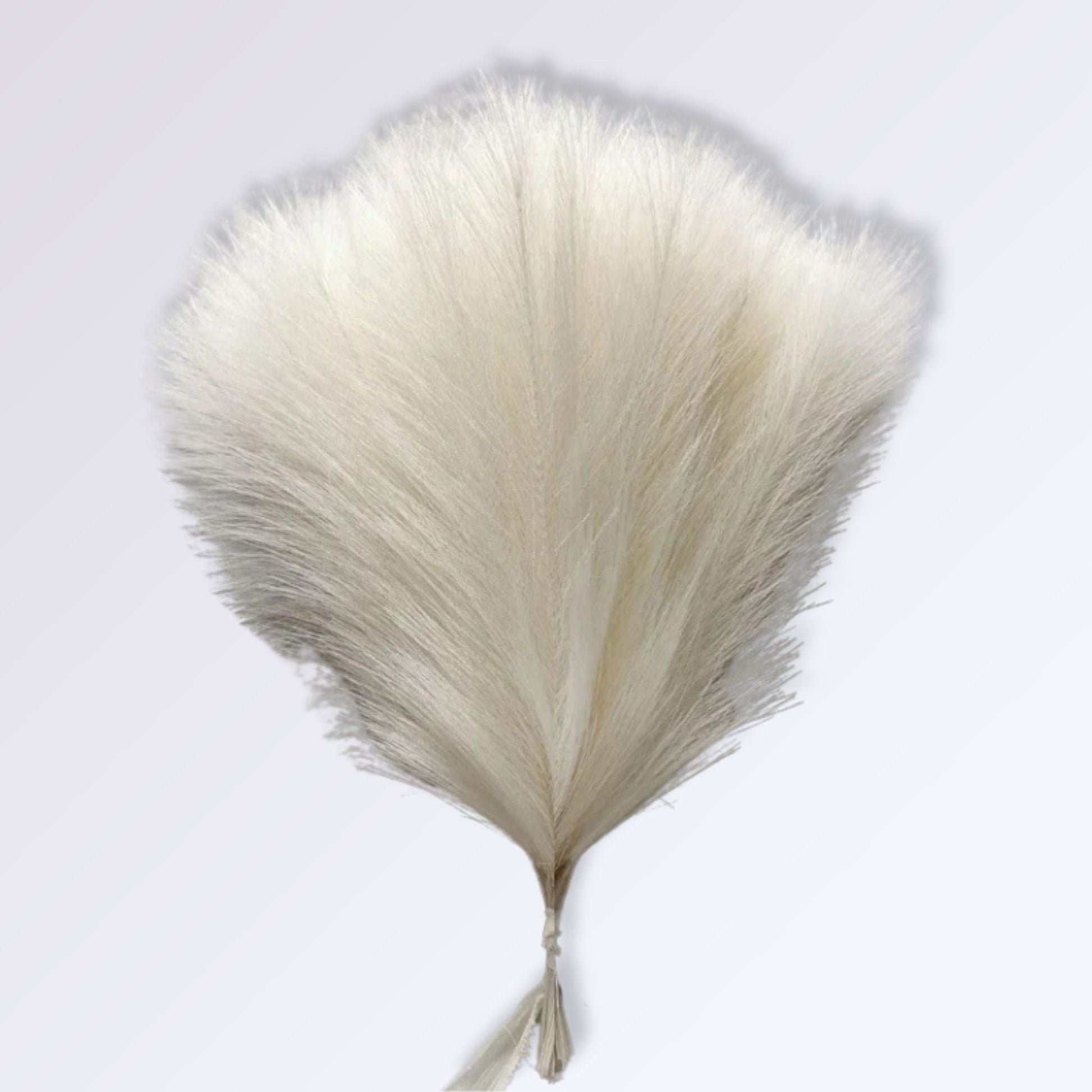 Herbe de la Pampa Artificielle Couleur Blanc pur / 10 branches