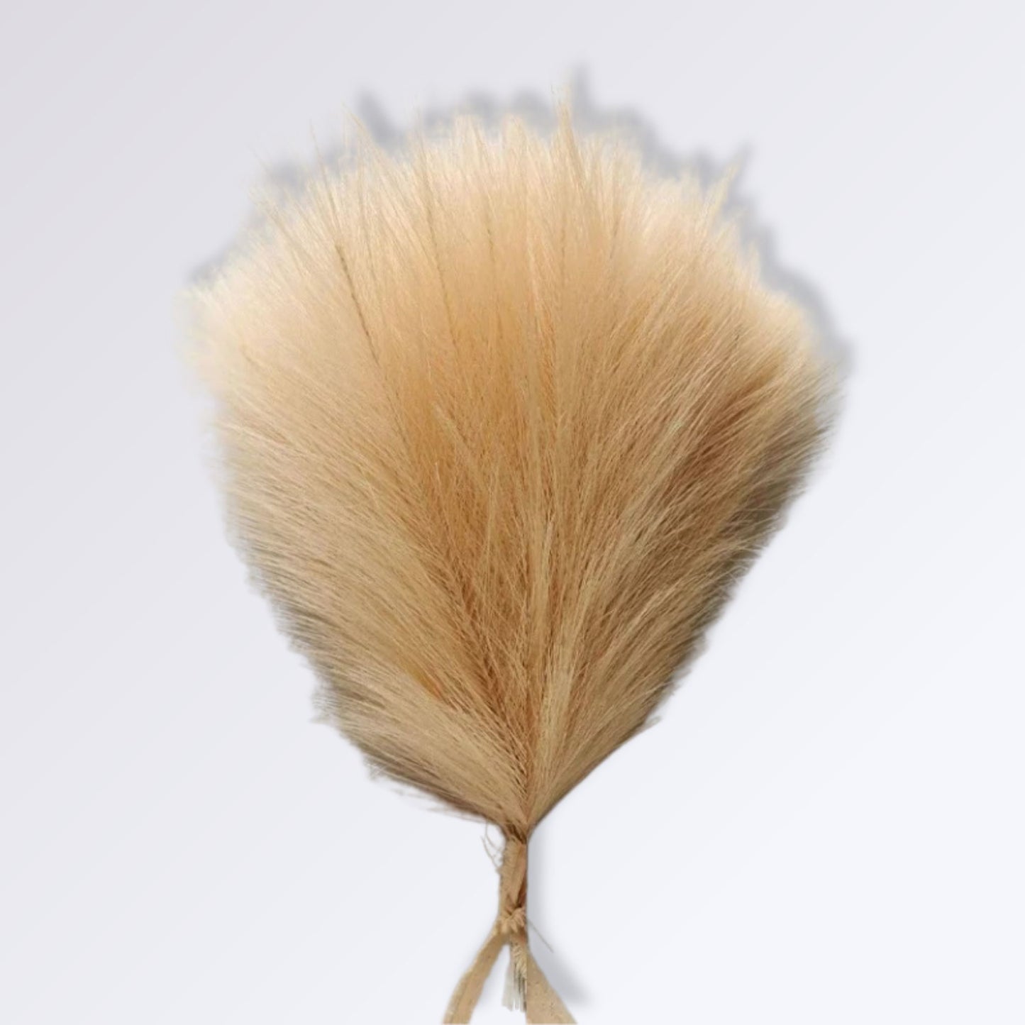 Herbe de la Pampa Artificielle Couleur Beige / 10 branches