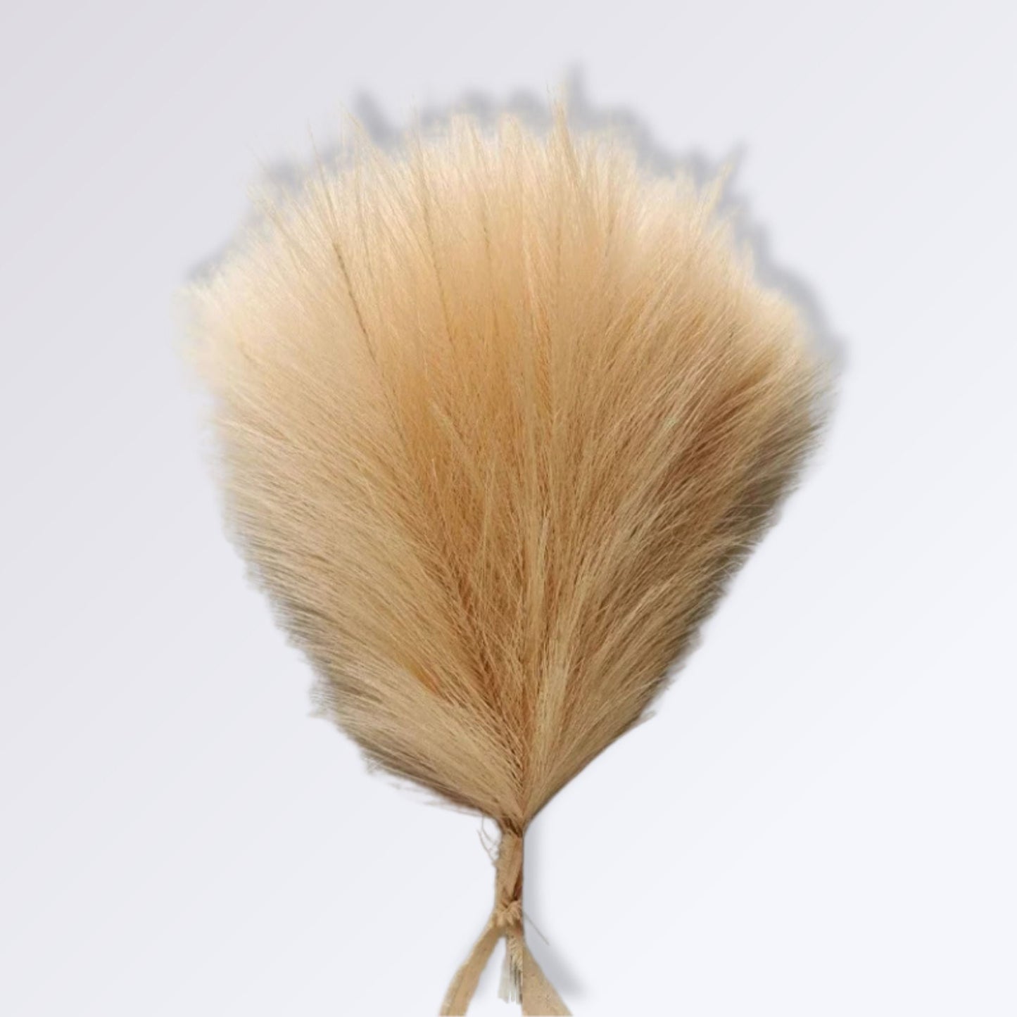Herbe de la Pampa Artificielle Couleur Beige / 10 branches
