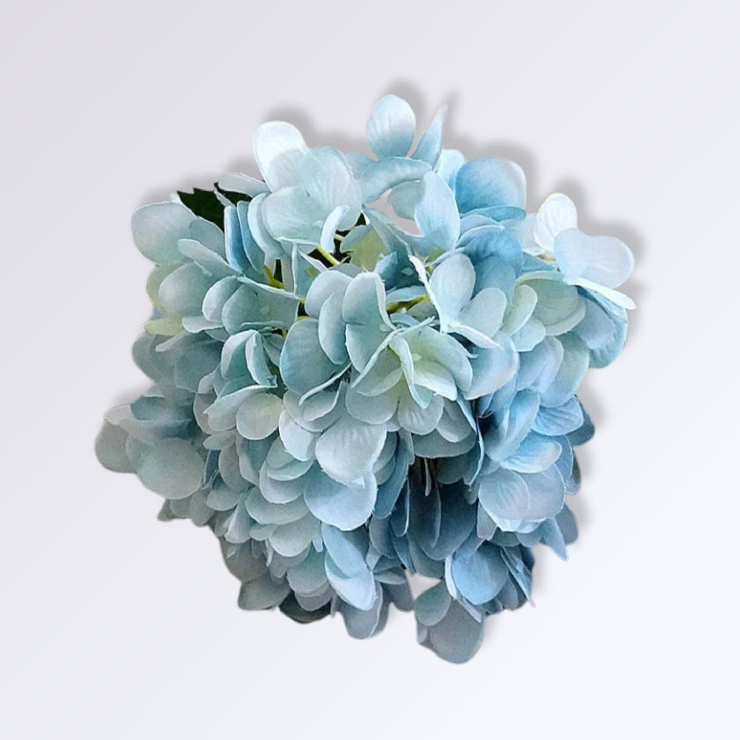 Hortensia Artificielle Haut de Gamme | Perles Vertes Bleu