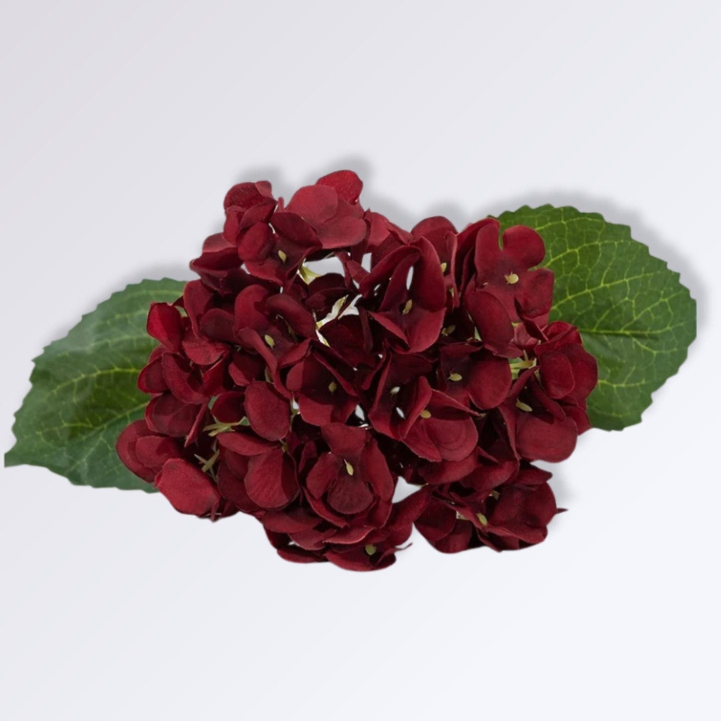 Hortensia Artificielle Haut de Gamme | Perles Vertes Bordeaux