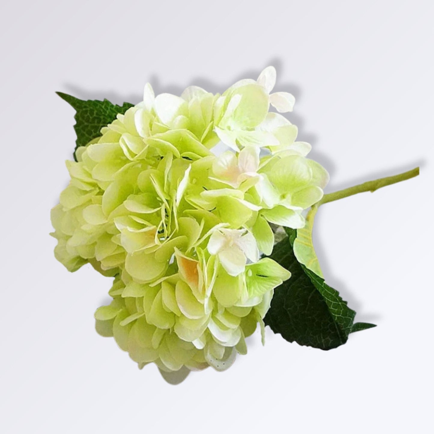 Hortensia Artificielle Haut de Gamme | Perles Vertes Vert clair