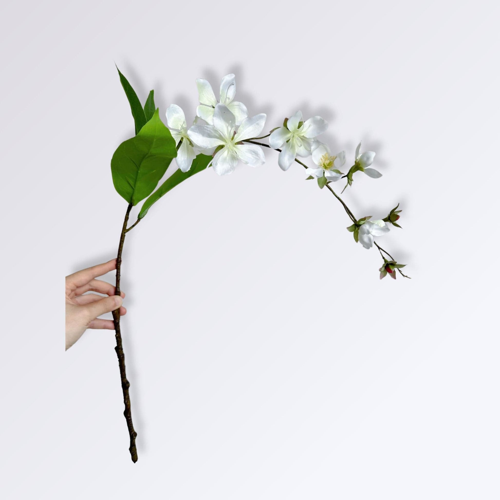 Jasmin | Perles Vertes Blanc