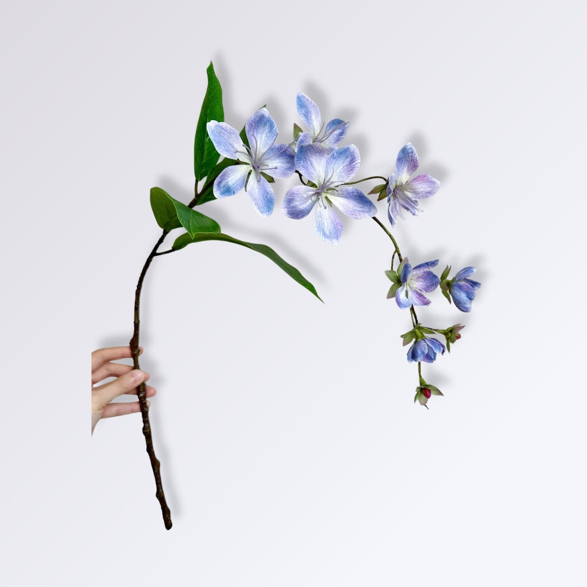 Jasmin | Perles Vertes Bleu