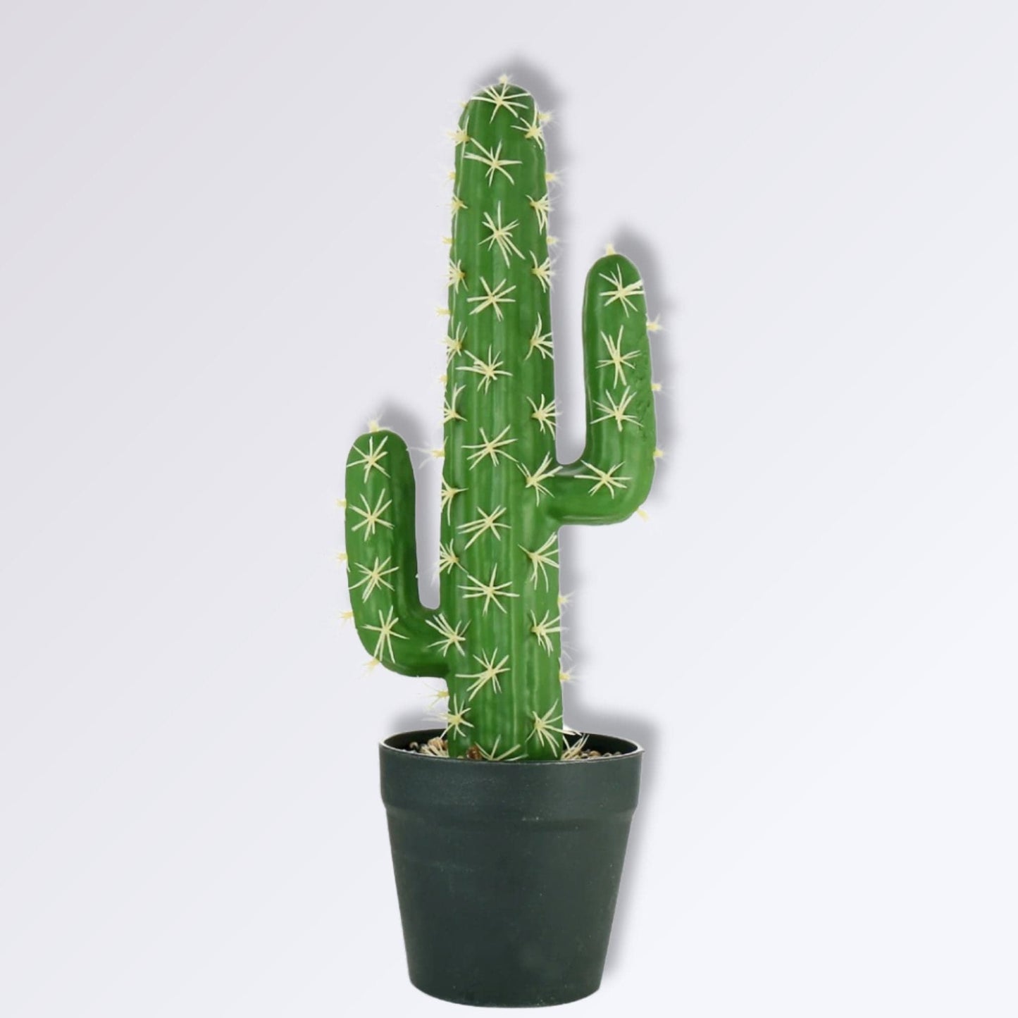 Mini Cactus Artificiel Epines blanches