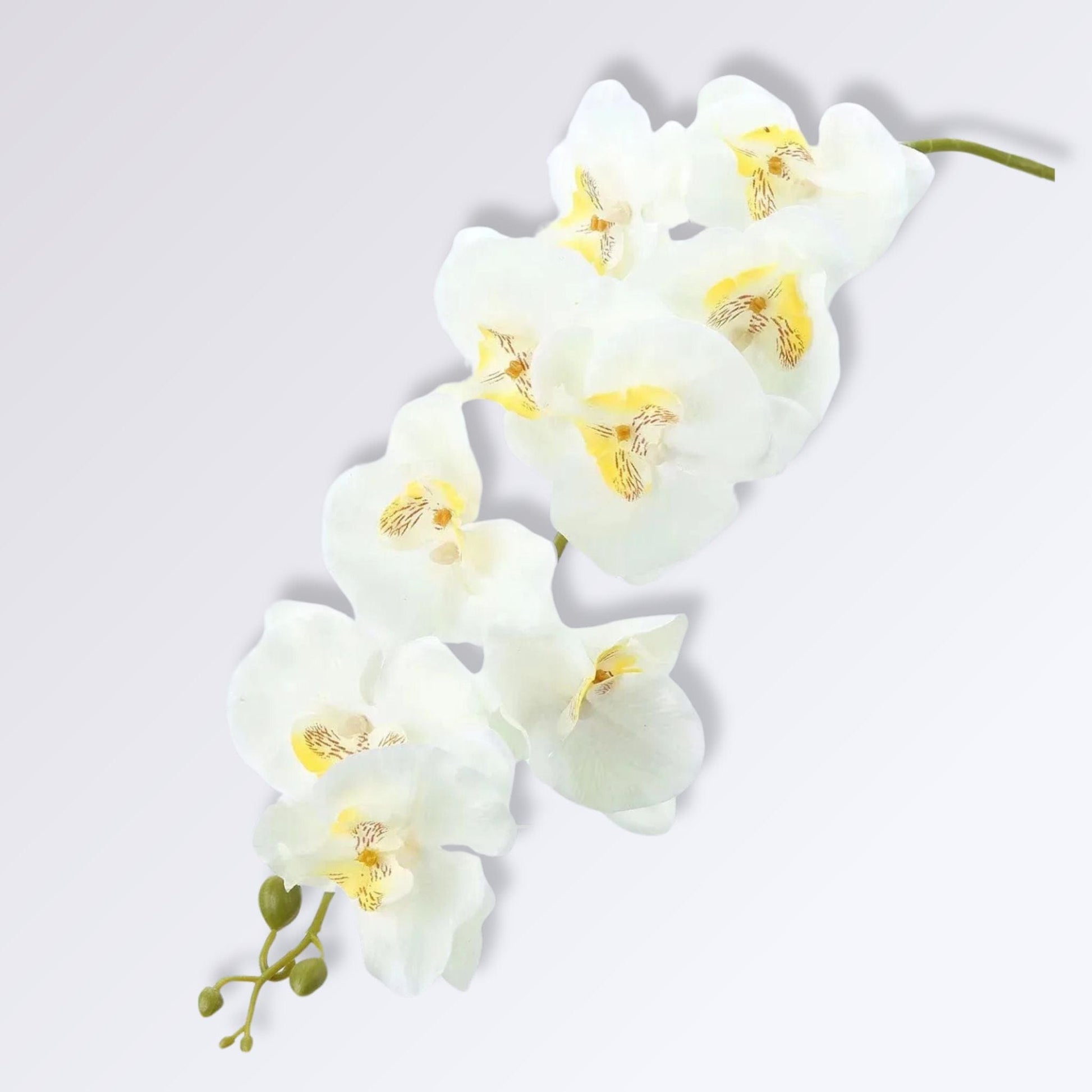 Orchidée Artificielle de Luxe | Perles Vertes Blanc