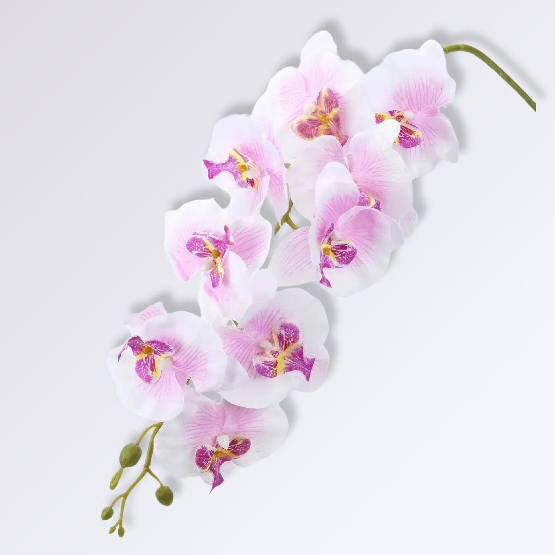 Orchidée Artificielle de Luxe | Perles Vertes Blanc mauve