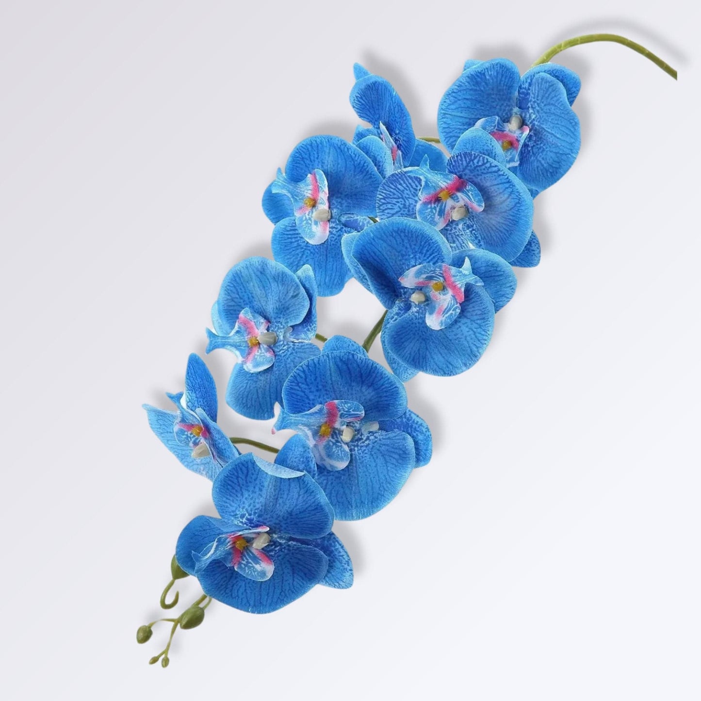 Orchidée Artificielle de Luxe | Perles Vertes Bleu