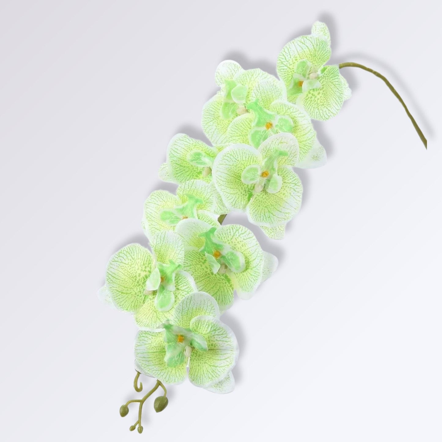 Orchidée Artificielle de Luxe | Perles Vertes Vert