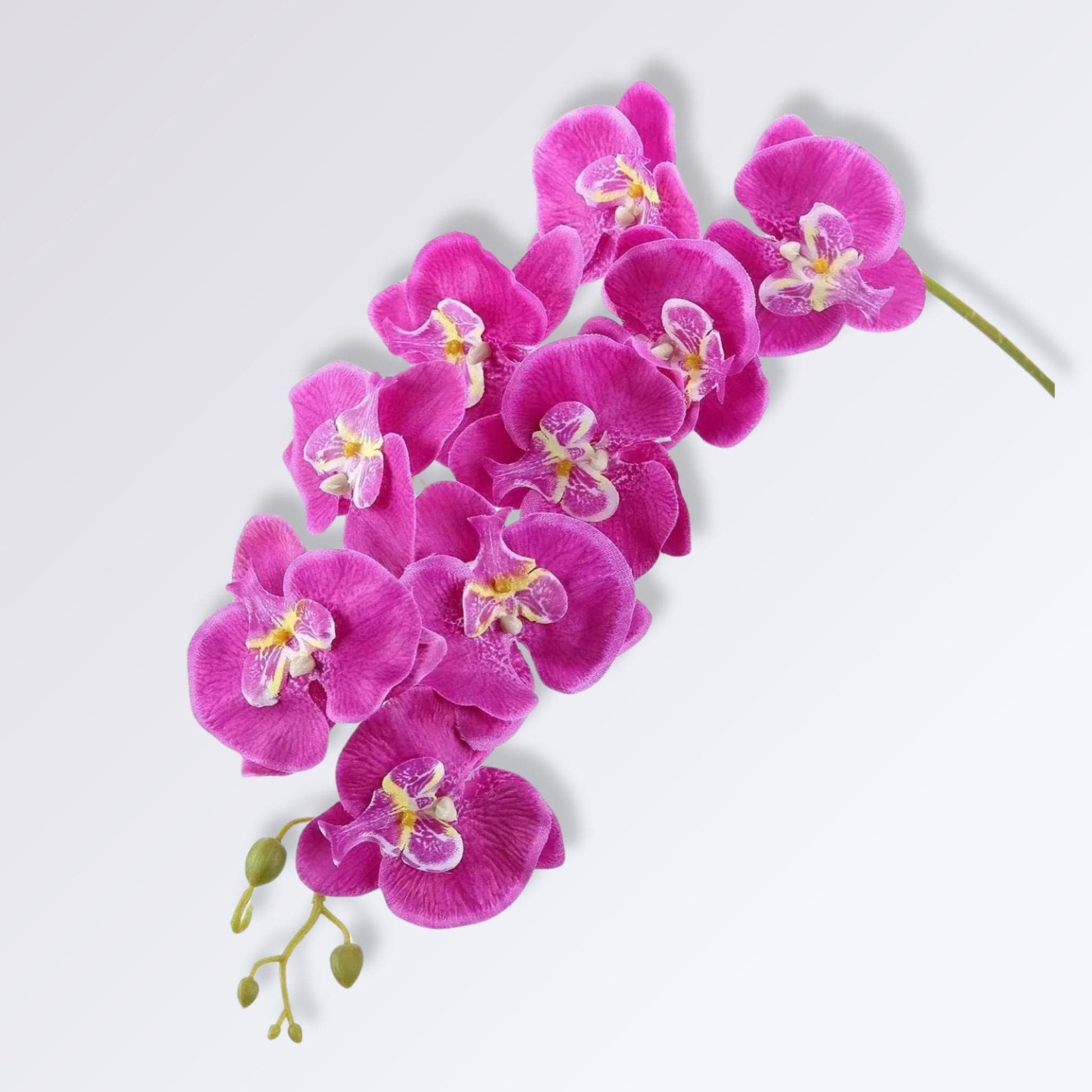 Orchidée Artificielle de Luxe | Perles Vertes Violet