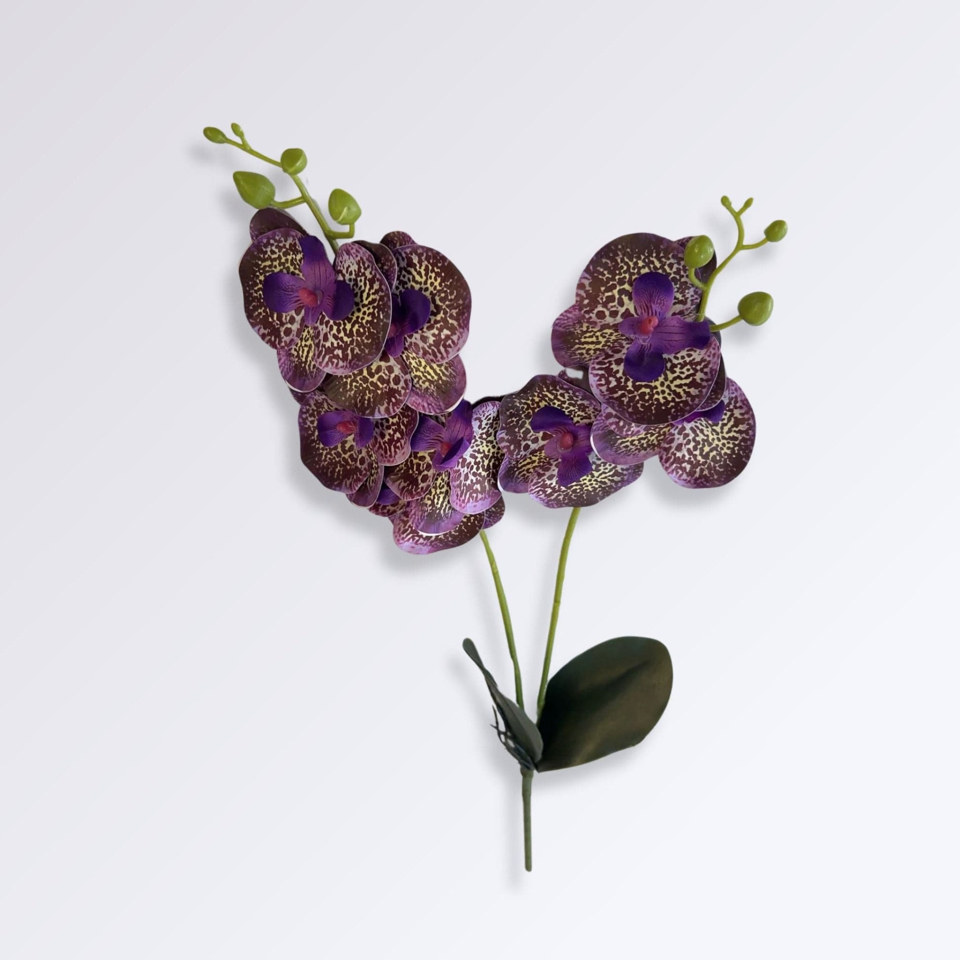 Orchidée Artificielle Haut de Gamme | Perles Vertes Violet