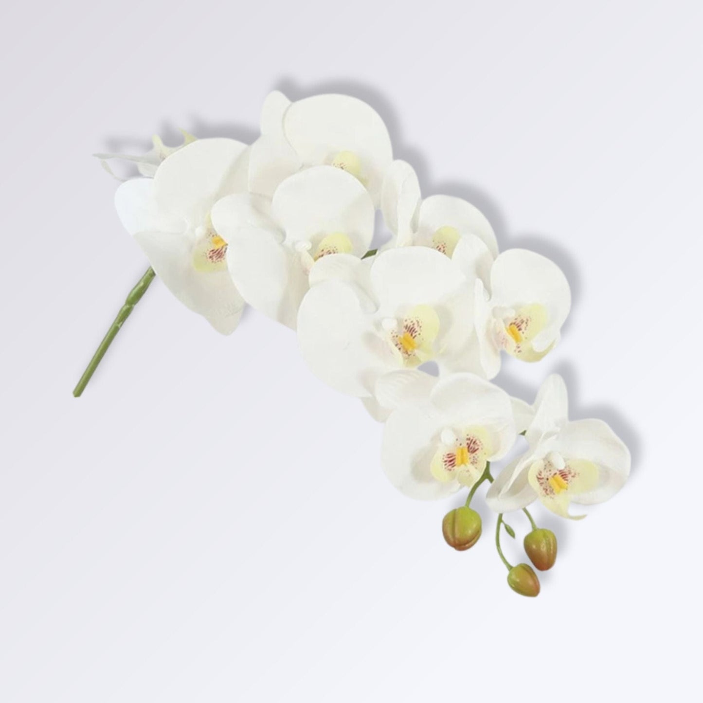 Orchidée Artificielle XXL | Perles Vertes Blanc