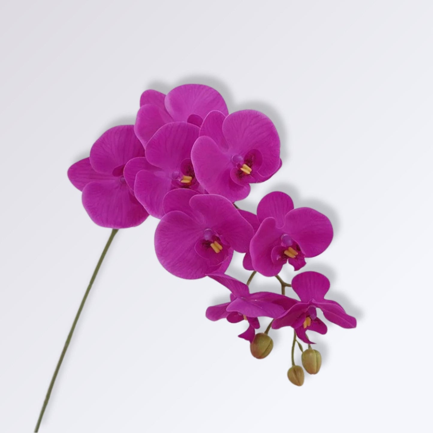 Orchidée Artificielle XXL | Perles Vertes Violet foncé