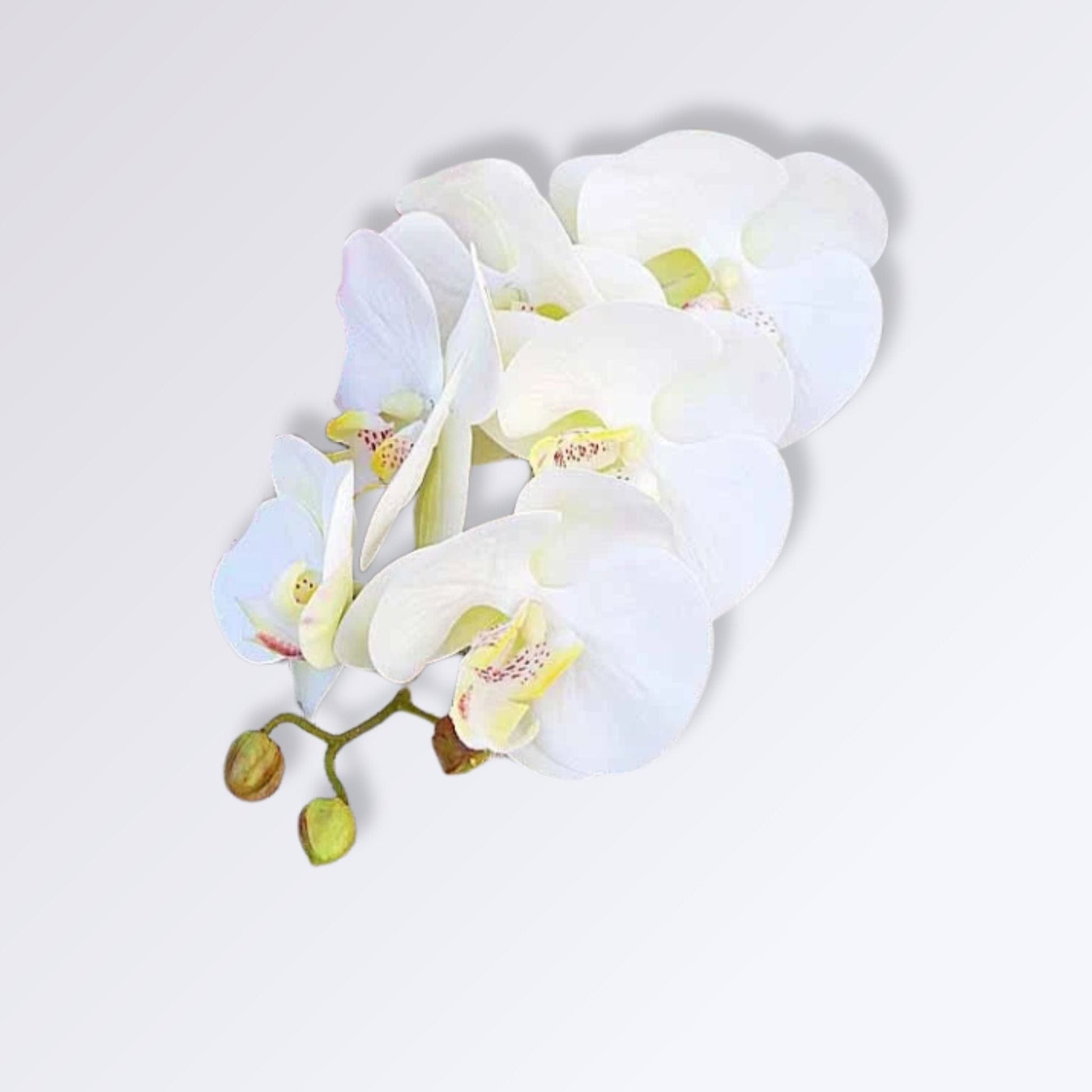 Orchidées Artificielles Réalistes | Perles Vertes Blanc