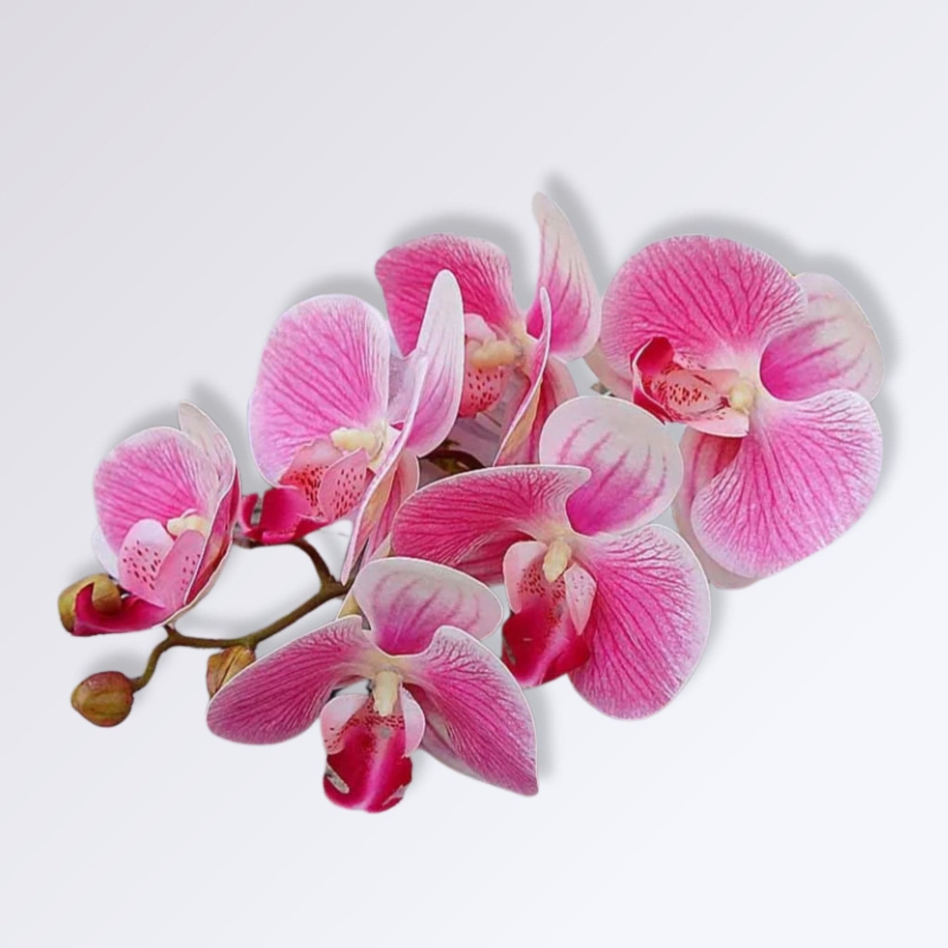 Orchidées Artificielles Réalistes | Perles Vertes Rose