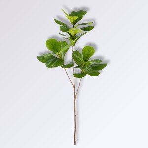 Les plantes d’intérieur ont-elles vraiment une personnalité ? Arbre Ficus Elastica Artificiel