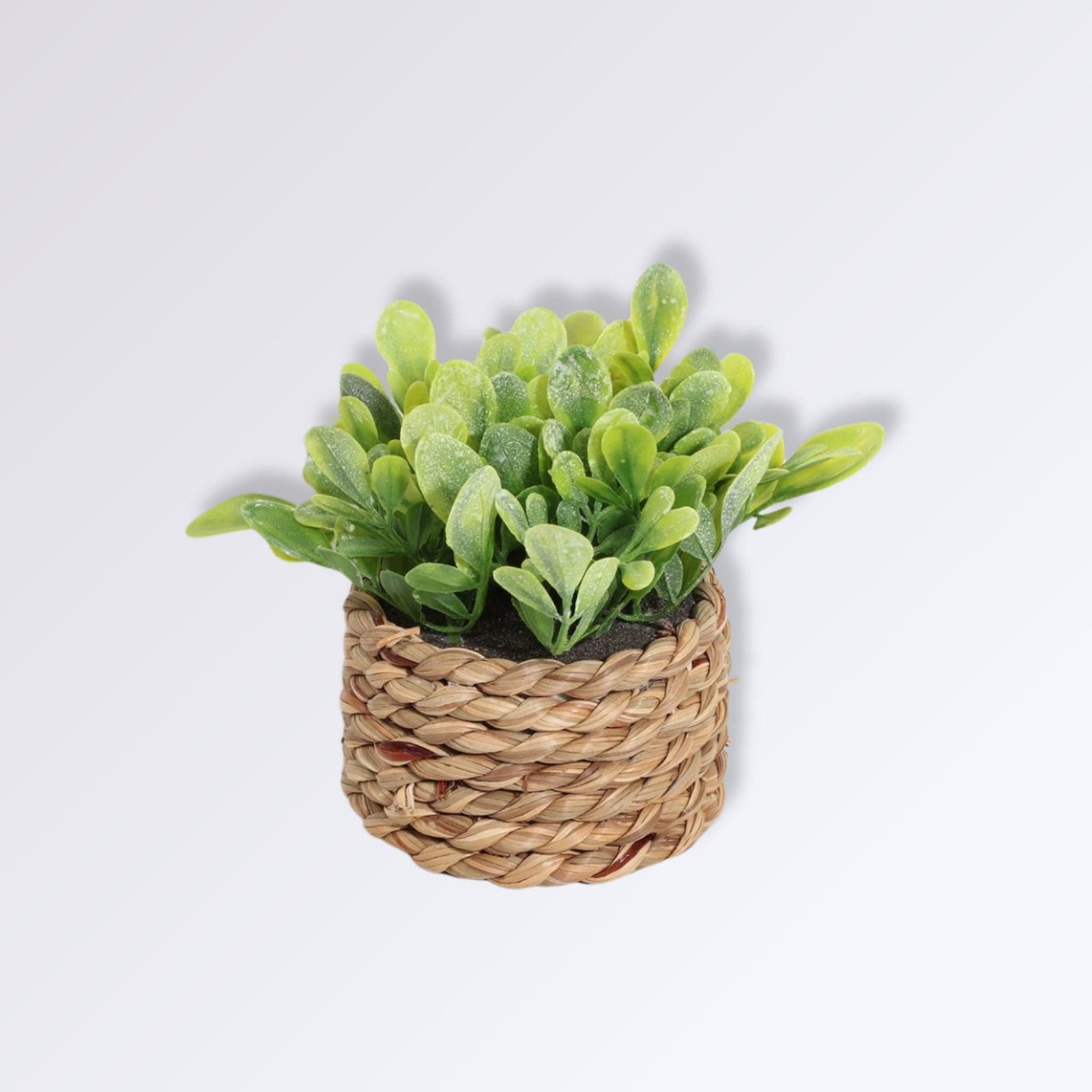 Mini Plante Artificielle en Pot Mini Plante Artificielle en Pot Style 1
