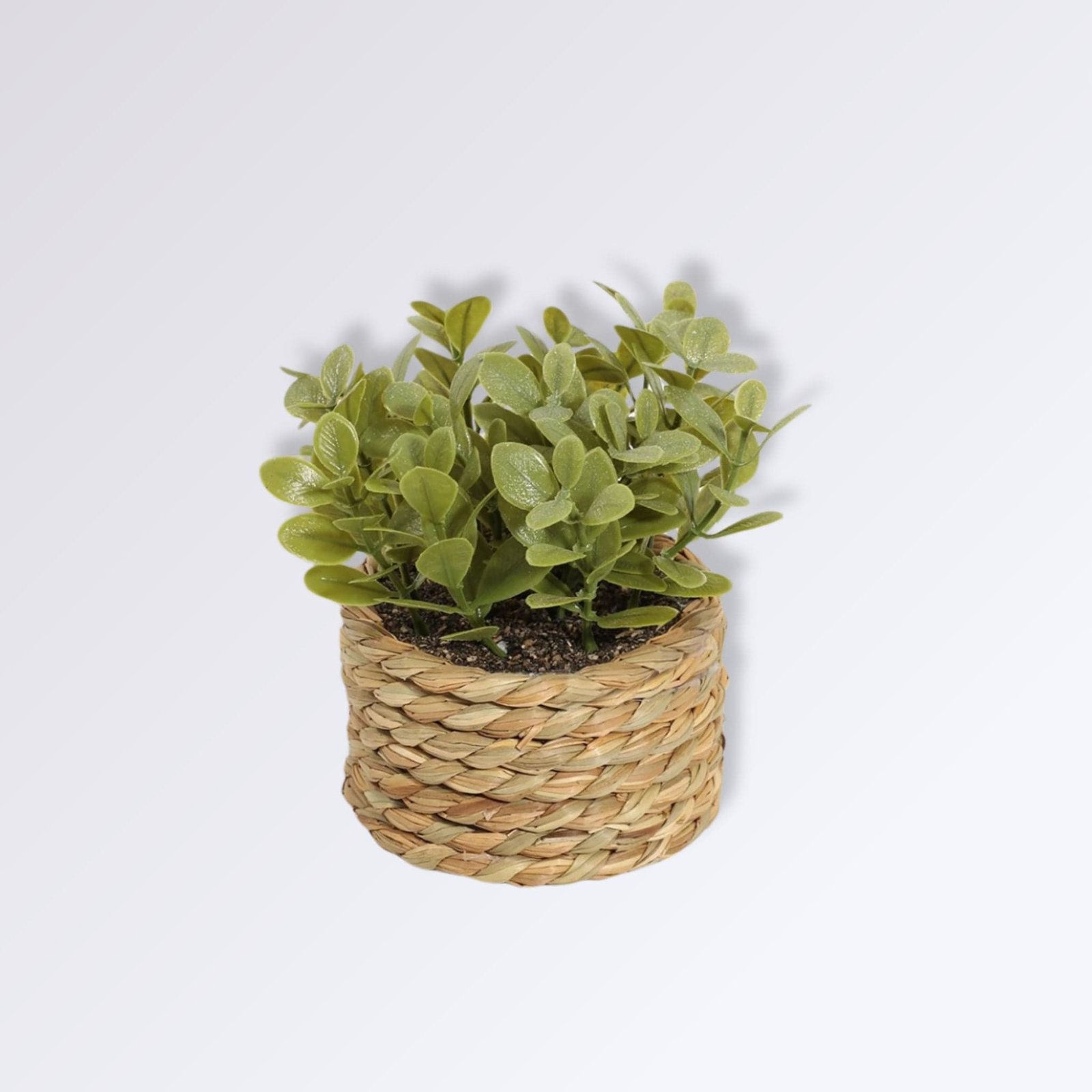 Mini Plante Artificielle en Pot Mini Plante Artificielle en Pot Style 2