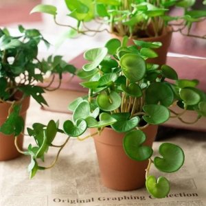 Mini Plante Verte Artificielle