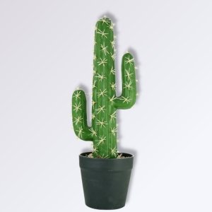 Petit Cactus Artificiel Epines blanches