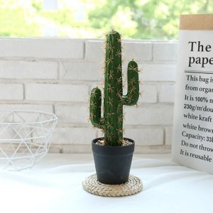 Petit Cactus Artificiel Epines jaunes