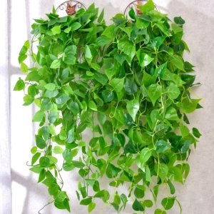 Comment associer tableaux muraux et plantes pour une décoration harmonieuse ? Plante Artificielle Murale Tombante