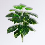 Accueil Pothos Artificiel 1 1