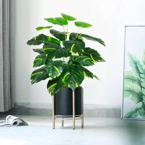 Les plantes d’intérieur ont-elles vraiment une personnalité ? Pothos Artificiel 70cm 18 feuilles