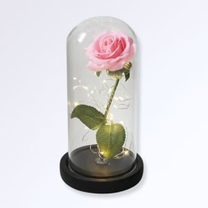 Accueil Rose Éternelle Sous Cloche Socle Noir Couleur rose naturel
