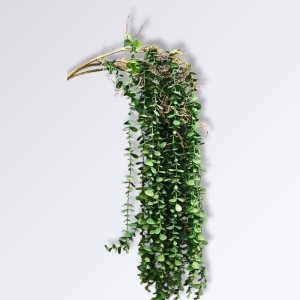 Eucalyptus Artificiel Tombant