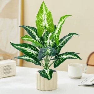 Plante Artificielle Ailes d'Anges au Feuillage Vert et Blanc