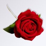 Rose Rouge Artificielle 1 2