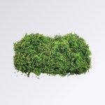 mousse vegetale artificielle green 50g 55466185523534 2