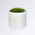 Accueil Pot de Mousse Artificielle 1