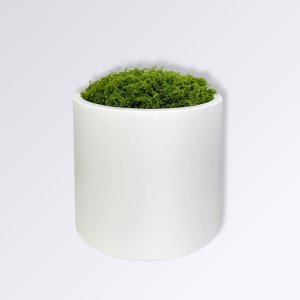 Pourquoi les poufs en jute sont-ils le dernier incontournable des tendances en matière de décoration intérieure ? Pot de Mousse Artificielle Couleur Blanc Pur