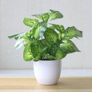 Fausse Petite Plante en Pot