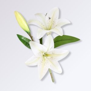 Fausses Fleurs de Lys Couleur Blanc