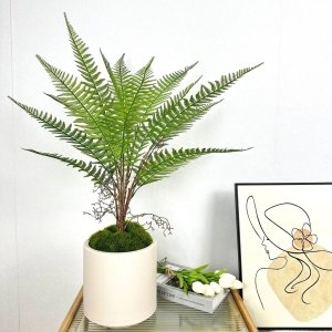 Grande Plante Fougères Artificielles