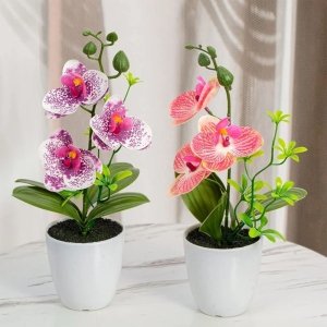 Petite Orchidée Artificielle en Pot