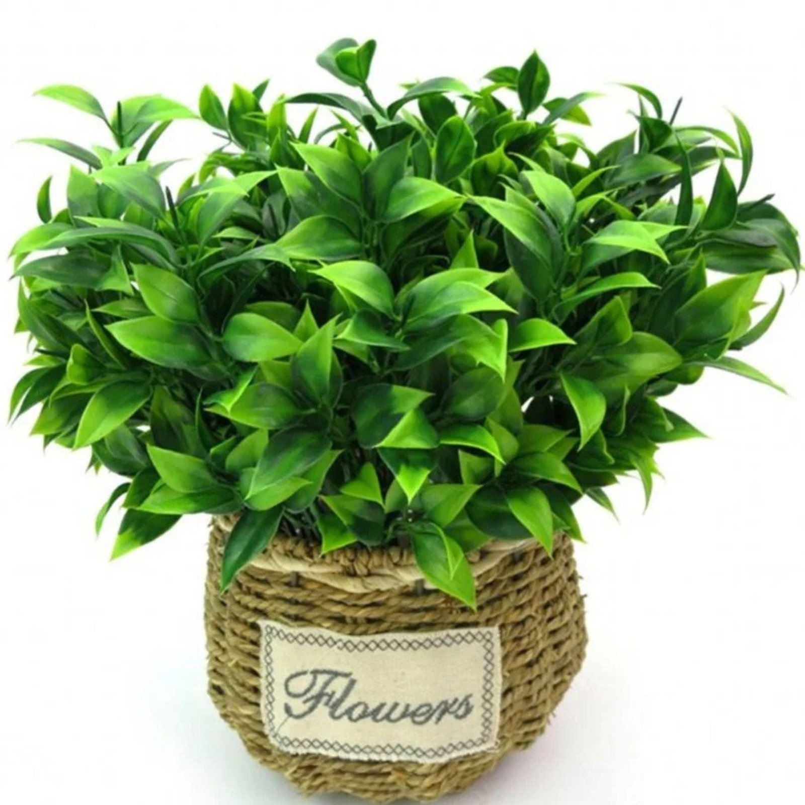 Petite Plante Verte Artificielle