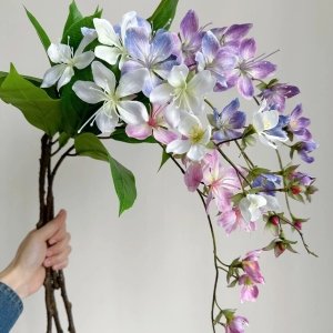 Jasmin | Perles Vertes