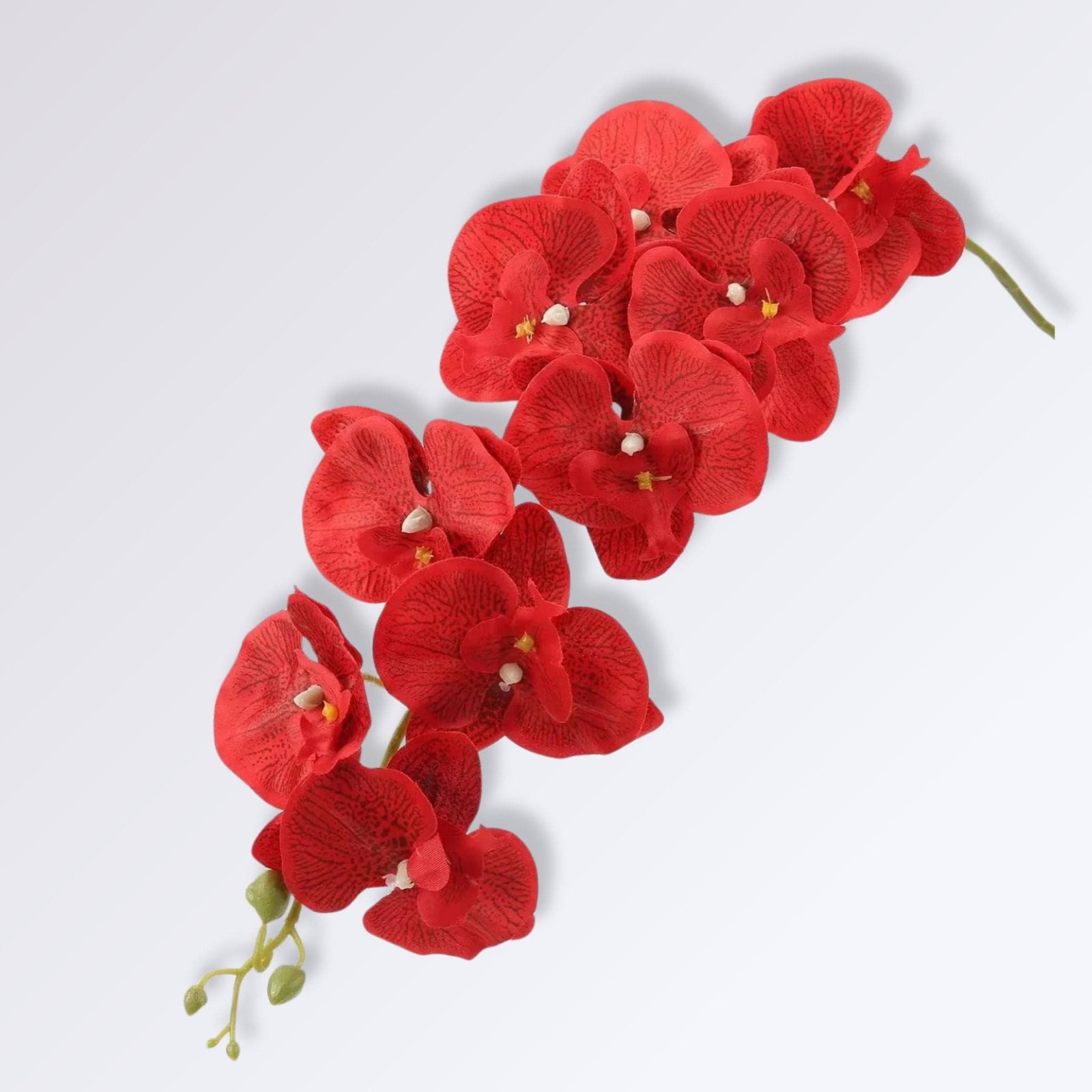 Orchidée Artificielle De Luxe Orchidée Artificielle de Luxe | Perles Vertes Rouge