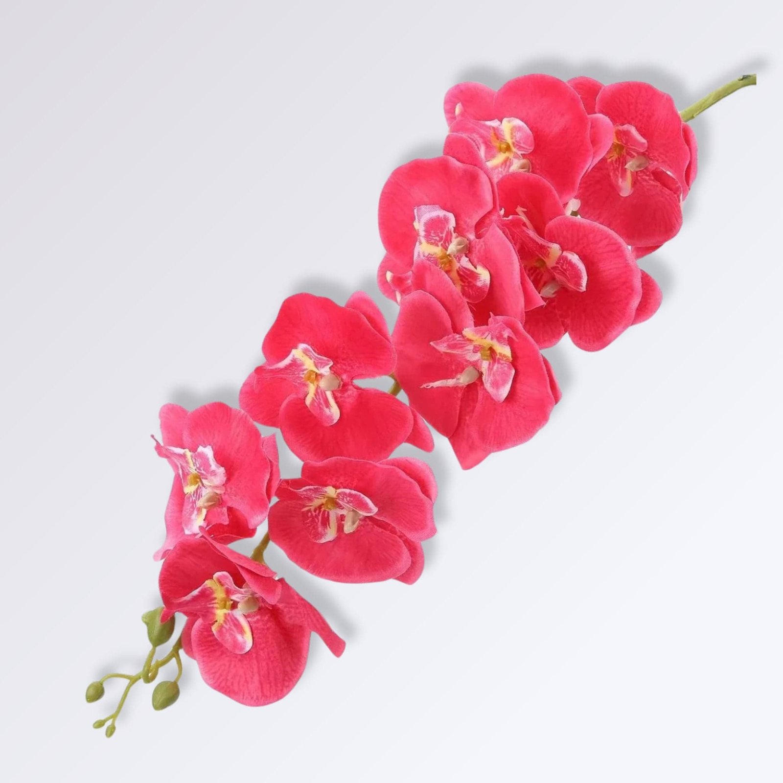 Orchidée Artificielle De Luxe Orchidée Artificielle de Luxe | Perles Vertes Rouge clair