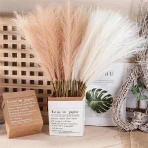 Plantes artificielles comme des vraies ? Le guide ultime pour une décoration parfaite Pampa Artificielle | Perles Vertes