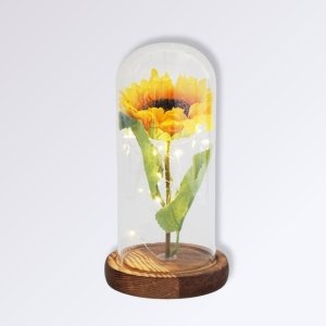 Fleur Jaune Éternelle Sous Cloche