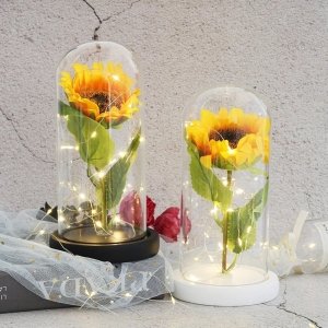 Fleur Jaune Éternelle Sous Cloche