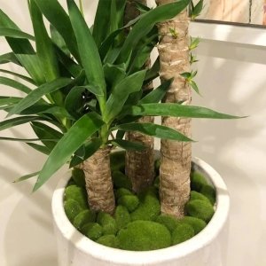 Pierre De Mousse Artificielle Verte