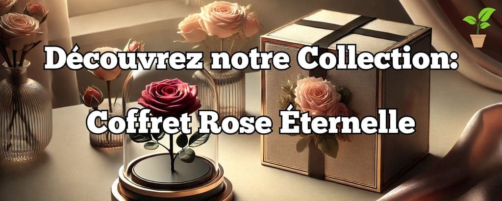 Coffret Rose éternelle