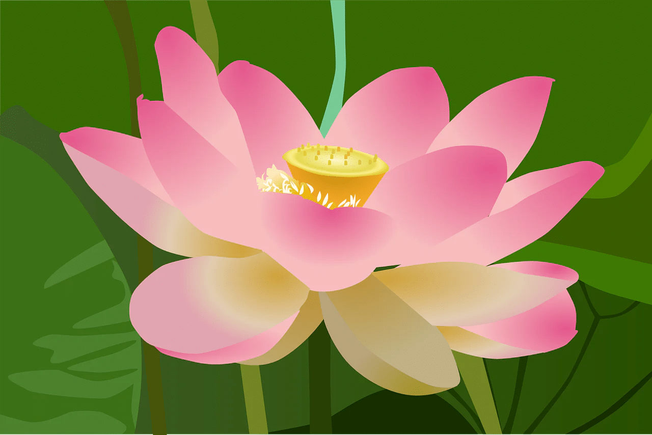 Comment utiliser des fleurs de lotus artificielles pour la décoration en été ?